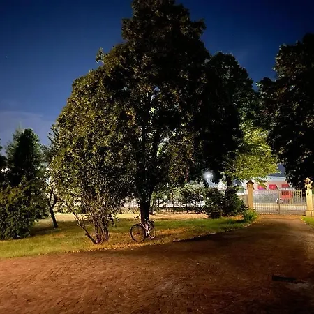 Peonia 住宿加早餐酒店 帕爾馬